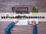 害蓄草平台隐藏进口（萹蓄草的功效与作用）